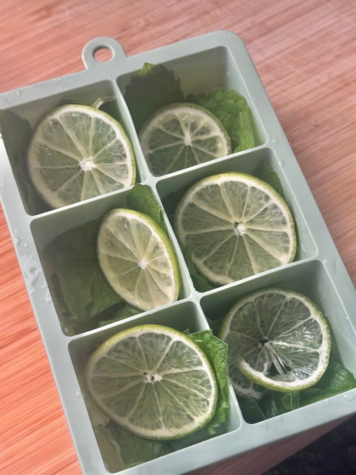 lime and mint in a tray lime and mint in a tray