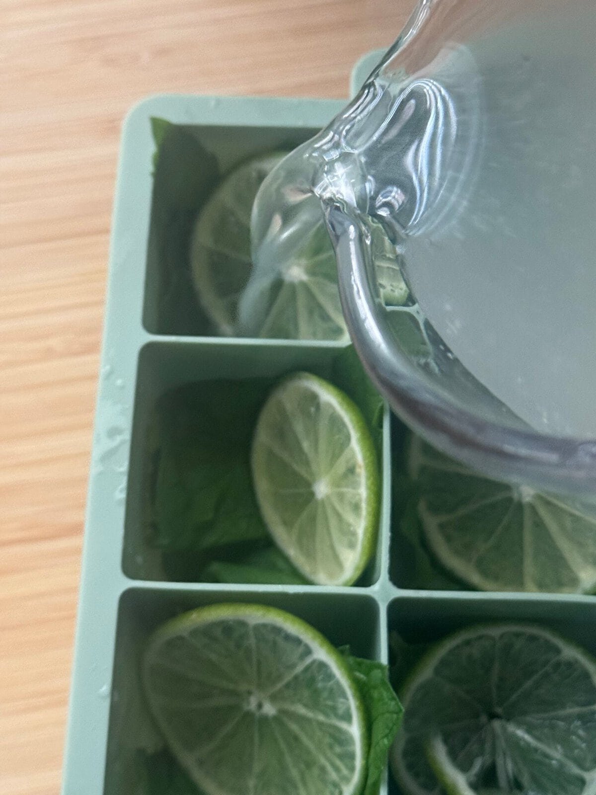 fill the tray with water fill the tray with water
