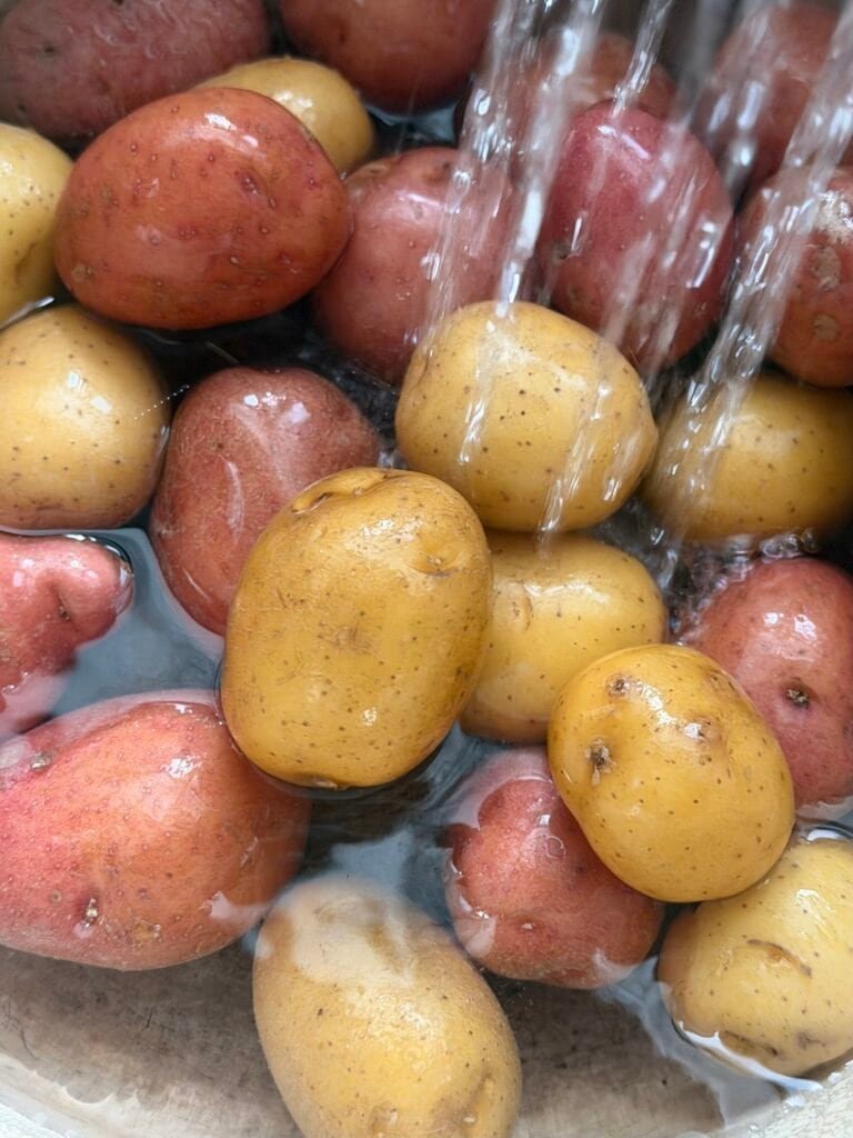 mini potatoes